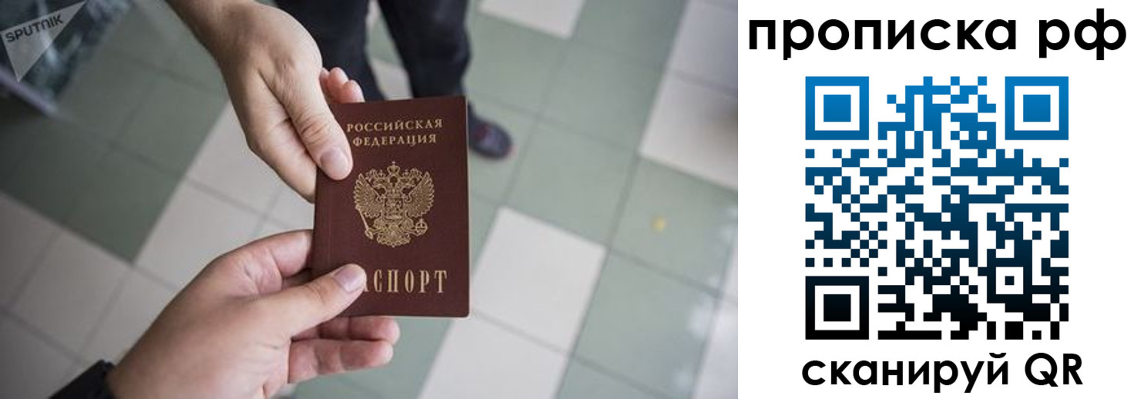 прописка гарантия в Брянской области